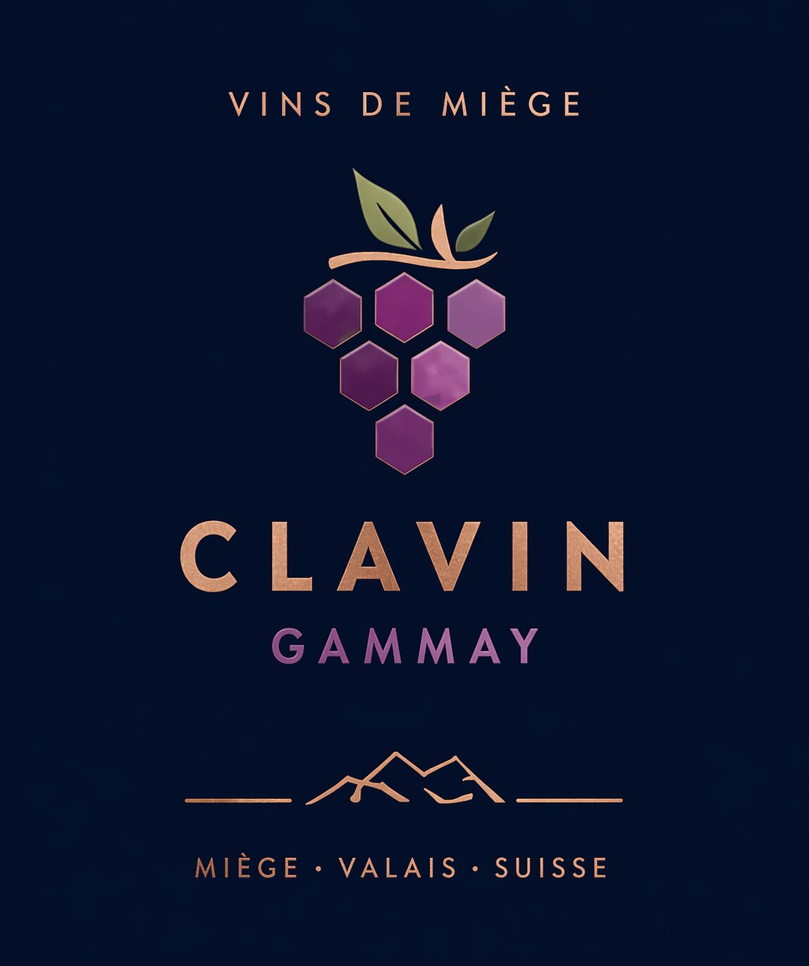 Création CLAVIN 2